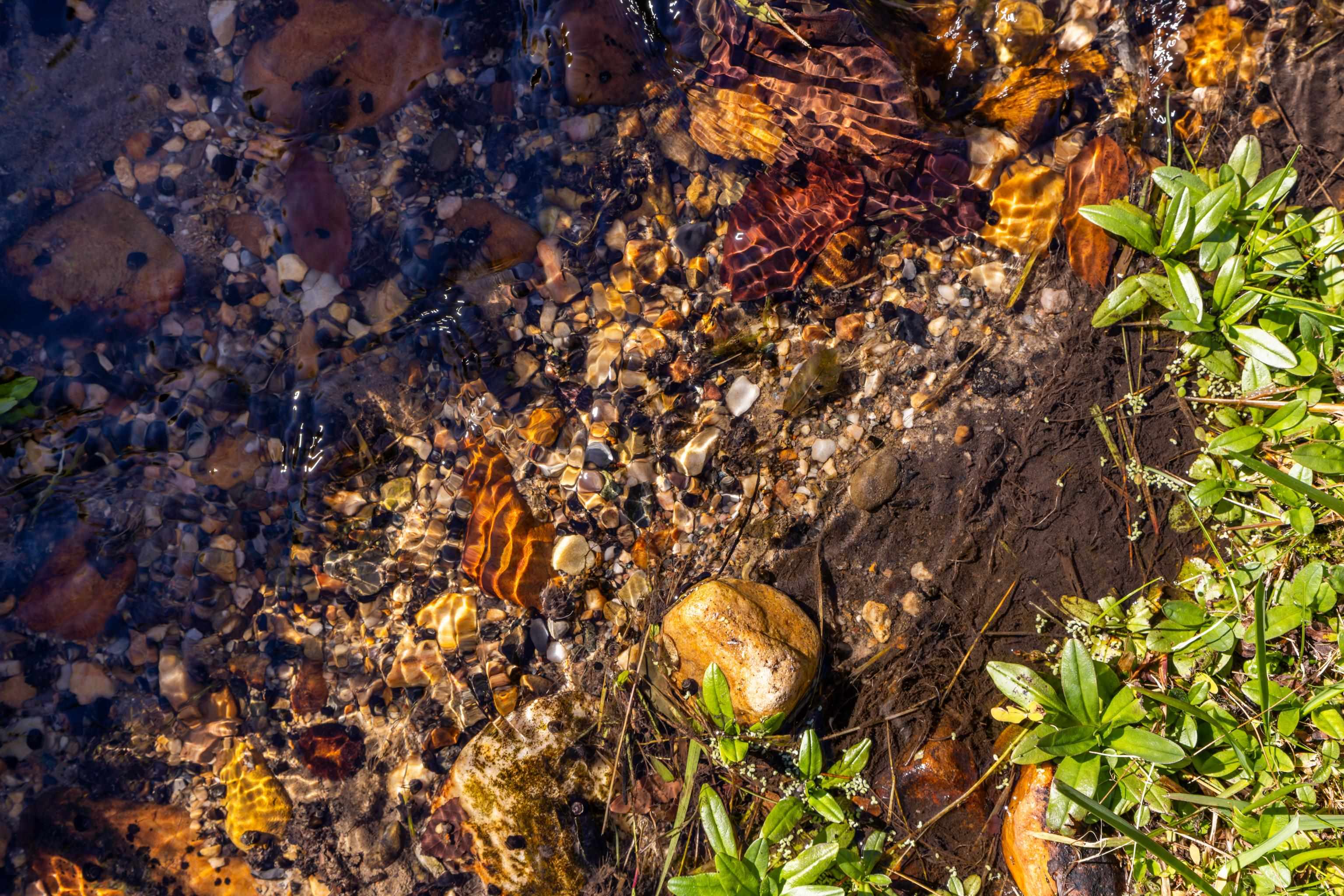 16 BALL DIAMOND TRL, VESUVIUS, Virginia 24483, 3 Bedrooms Bedrooms, ,2 BathroomsBathrooms,Residential,16 BALL DIAMOND TRL,675630 MLS # 675630 16 BALL DIAMOND TRL, VESUVIUS, Virginia 24483, 3 Bedrooms Bedrooms, ,2 BathroomsBathrooms,Residential,16 BALL DIAMOND TRL,675630 MLS # 675630