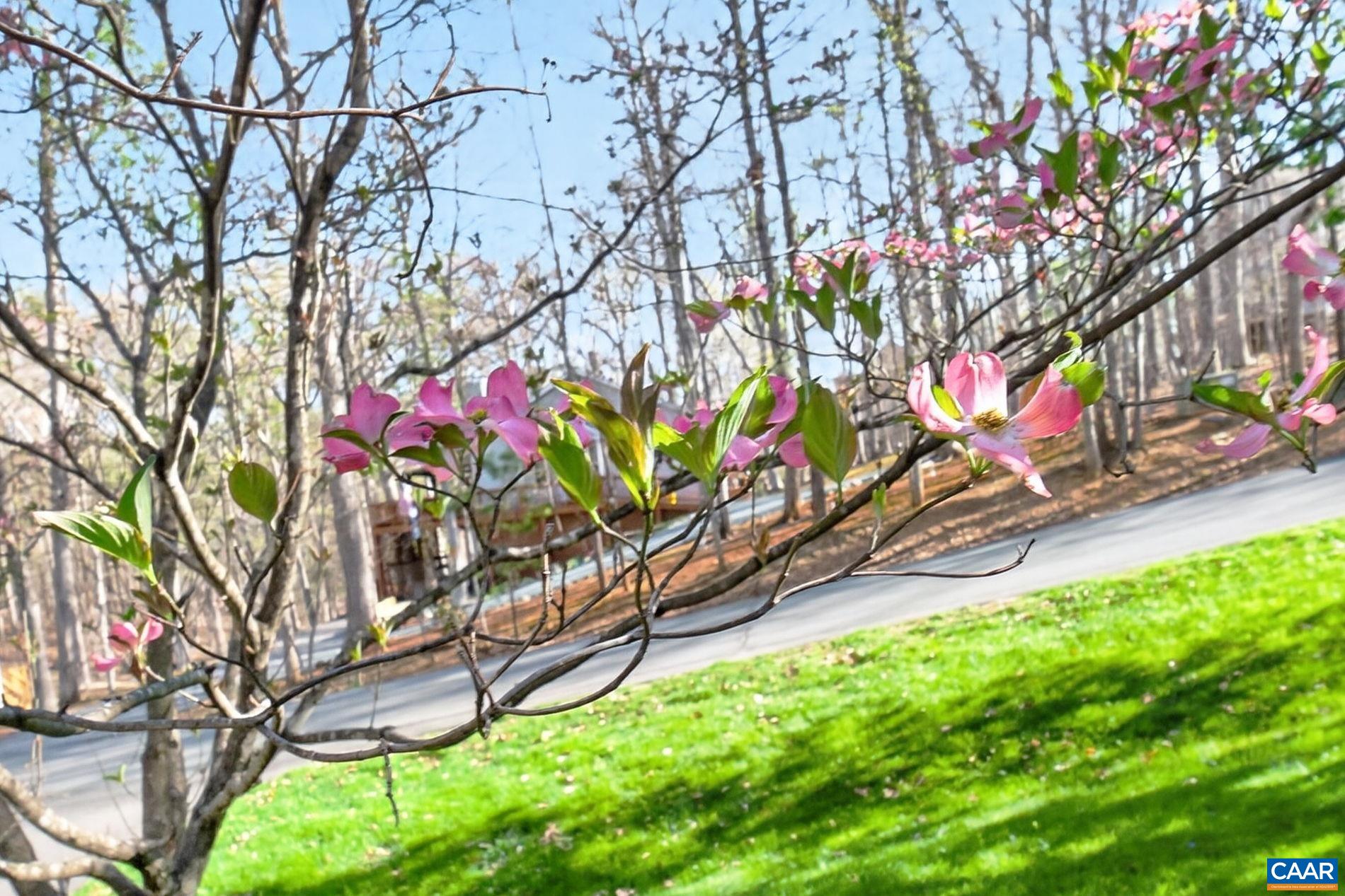 40 BRIDLEWOOD DR, PALMYRA, Virginia 22963, 3 Bedrooms Bedrooms, ,2 BathroomsBathrooms,Residential,40 BRIDLEWOOD DR,675633 MLS # 675633