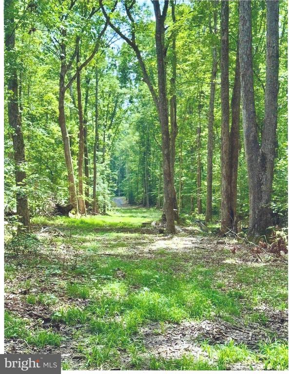 14409 SPOTSWOOD FURNACE RD, FREDERICKSBURG, Virginia 22407, ,Land,14409 SPOTSWOOD FURNACE RD,VASP2037596 MLS # VASP2037596