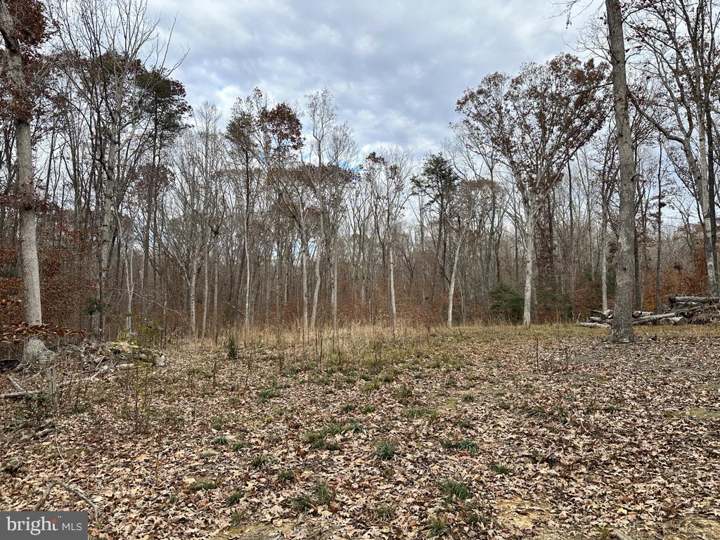 14409 SPOTSWOOD FURNACE RD, FREDERICKSBURG, Virginia 22407, ,Land,14409 SPOTSWOOD FURNACE RD,VASP2037596 MLS # VASP2037596