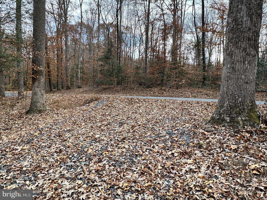 14409 SPOTSWOOD FURNACE RD, FREDERICKSBURG, Virginia 22407, ,Land,14409 SPOTSWOOD FURNACE RD,VASP2037596 MLS # VASP2037596