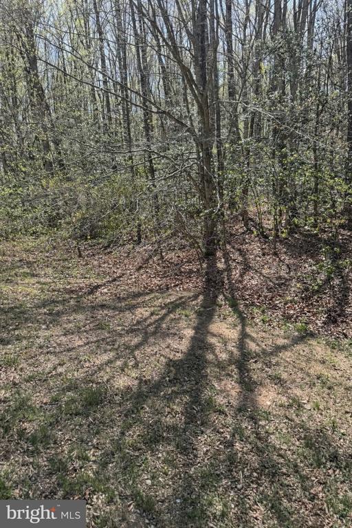 8839 OLD BLOCK HOUSE LN, SPOTSYLVANIA, Virginia 22551, ,Land,8839 OLD BLOCK HOUSE LN,VASP2040874 MLS # VASP2040874 8839 OLD BLOCK HOUSE LN, SPOTSYLVANIA, Virginia 22551, ,Land,8839 OLD BLOCK HOUSE LN,VASP2040874 MLS # VASP2040874