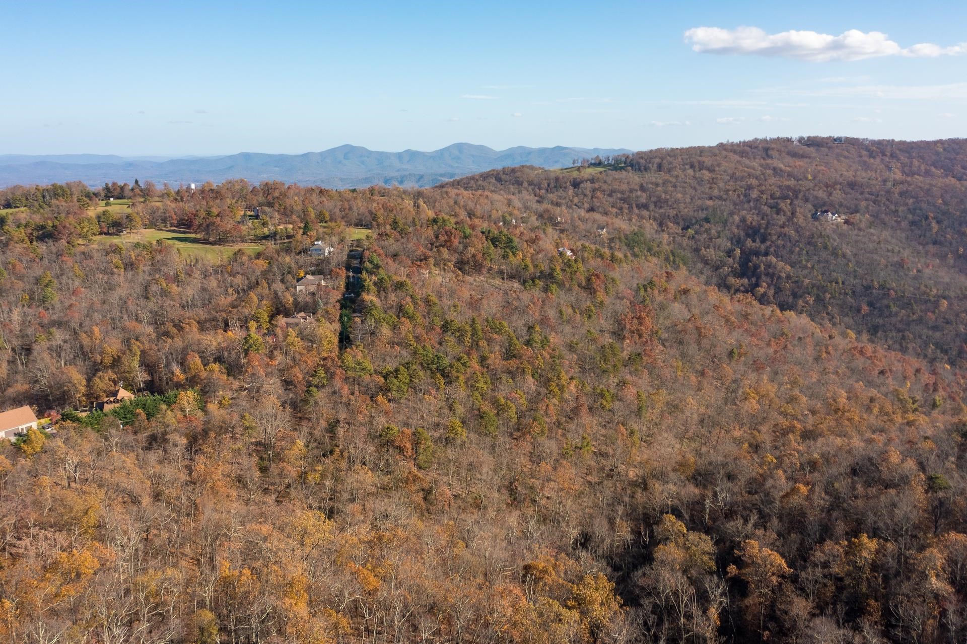 OLD STONY RIDGE RD, AFTON, Virginia 22920, ,Land,OLD STONY RIDGE RD,675655 MLS # 675655