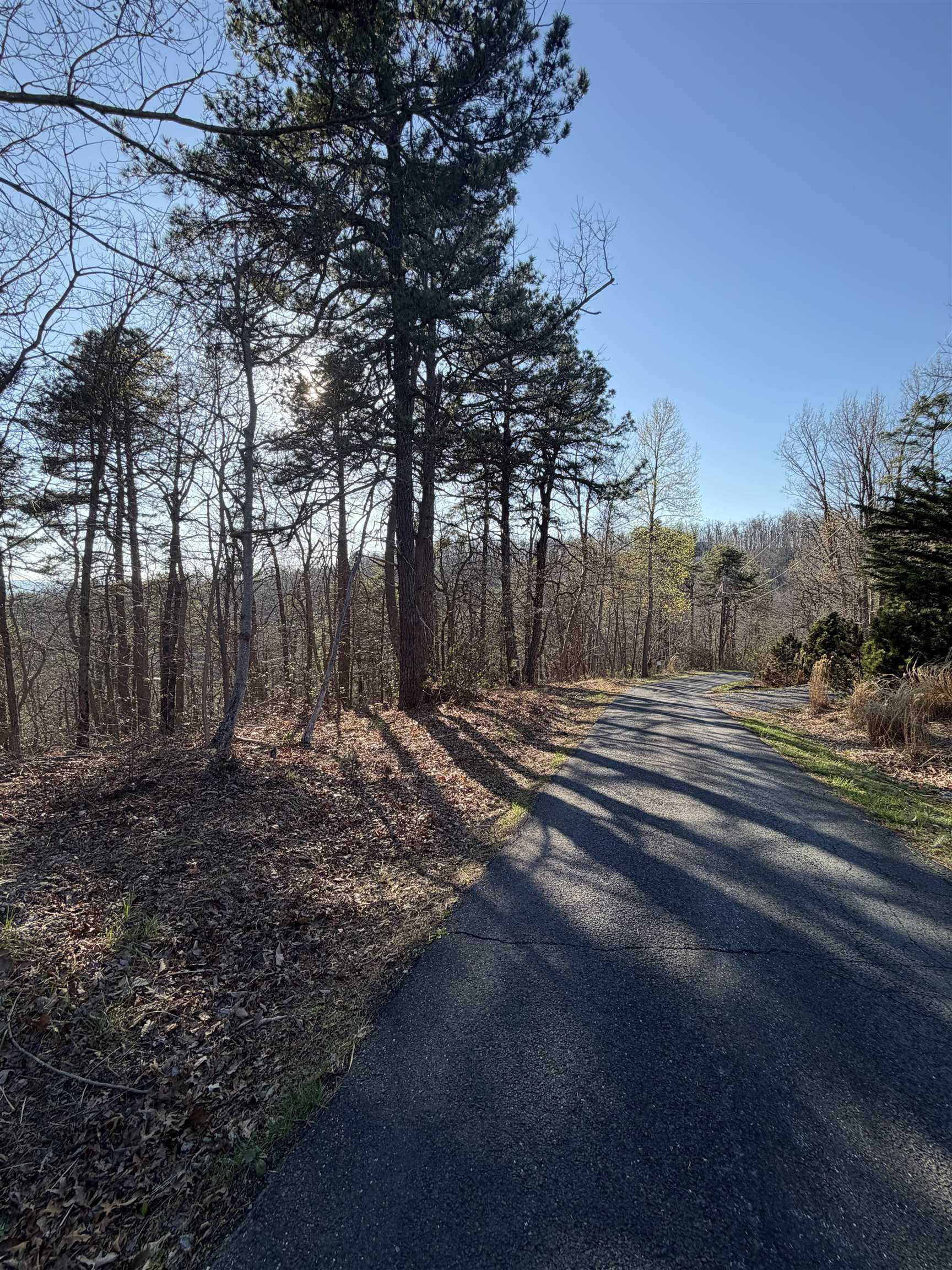 OLD STONY RIDGE RD, AFTON, Virginia 22920, ,Land,OLD STONY RIDGE RD,675655 MLS # 675655