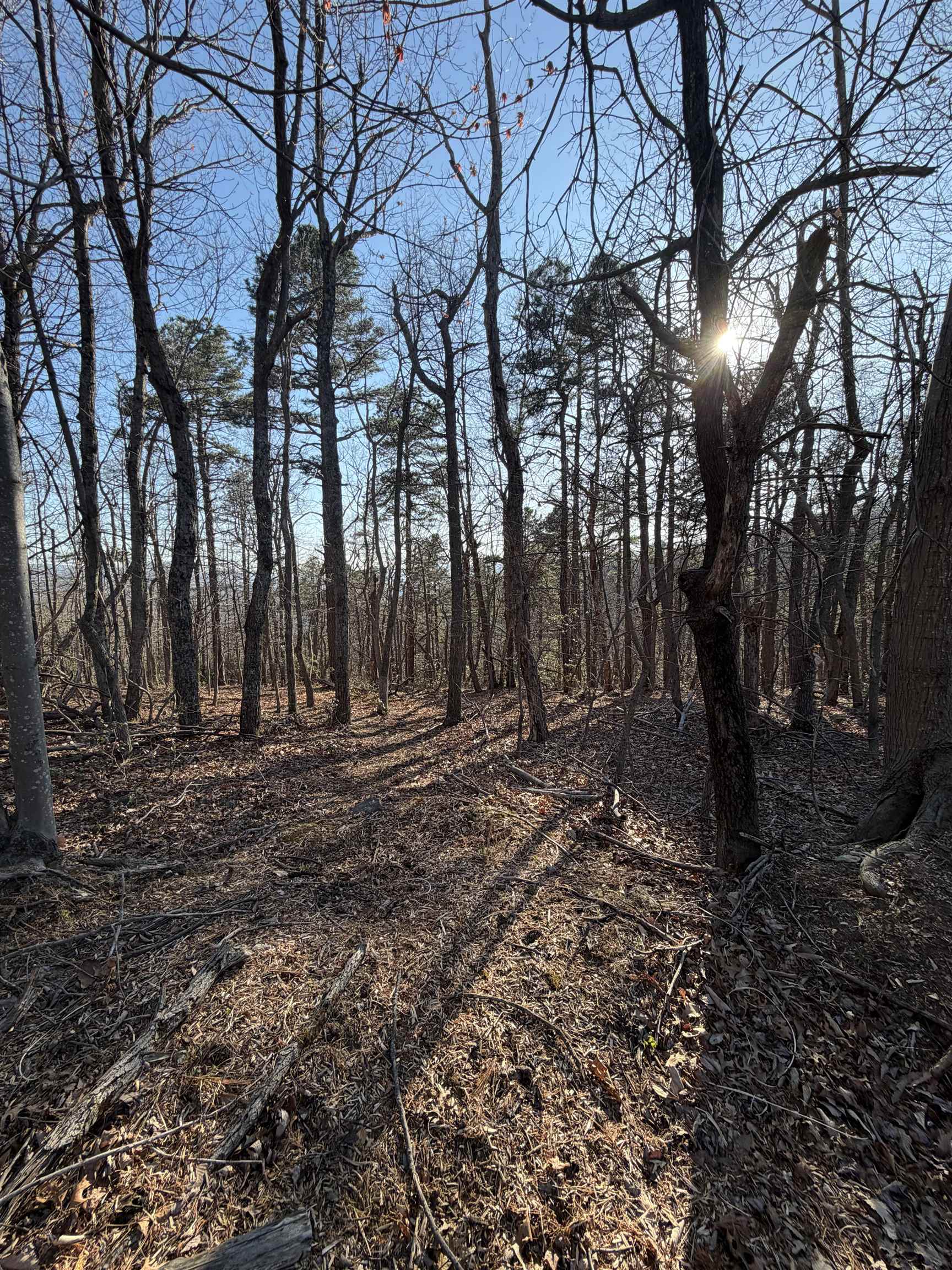 OLD STONY RIDGE RD, AFTON, Virginia 22920, ,Land,OLD STONY RIDGE RD,675655 MLS # 675655