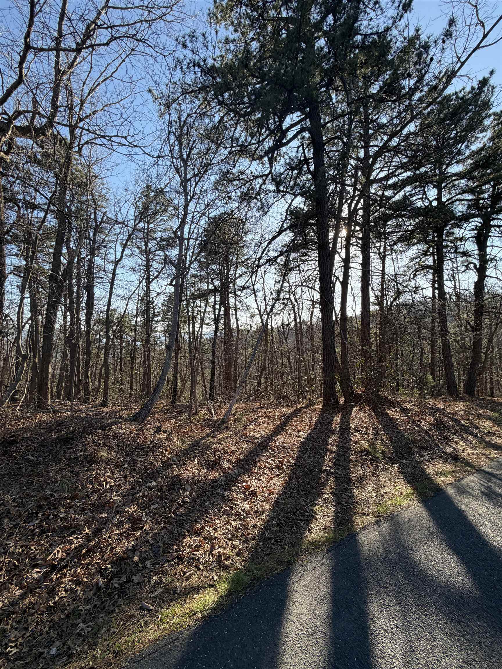 OLD STONY RIDGE RD, AFTON, Virginia 22920, ,Land,OLD STONY RIDGE RD,675655 MLS # 675655