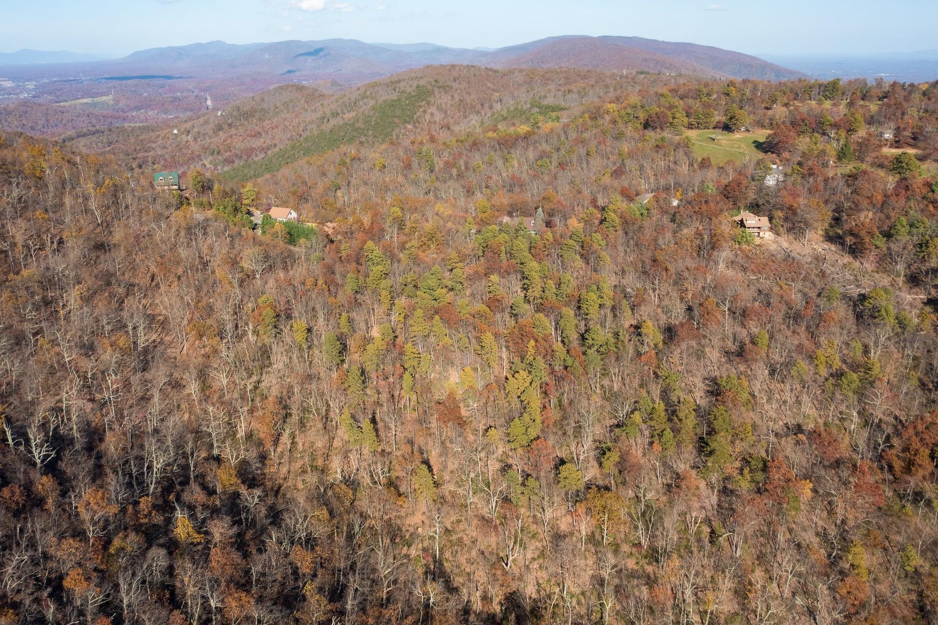 OLD STONY RIDGE RD, AFTON, Virginia 22920, ,Land,OLD STONY RIDGE RD,675655 MLS # 675655