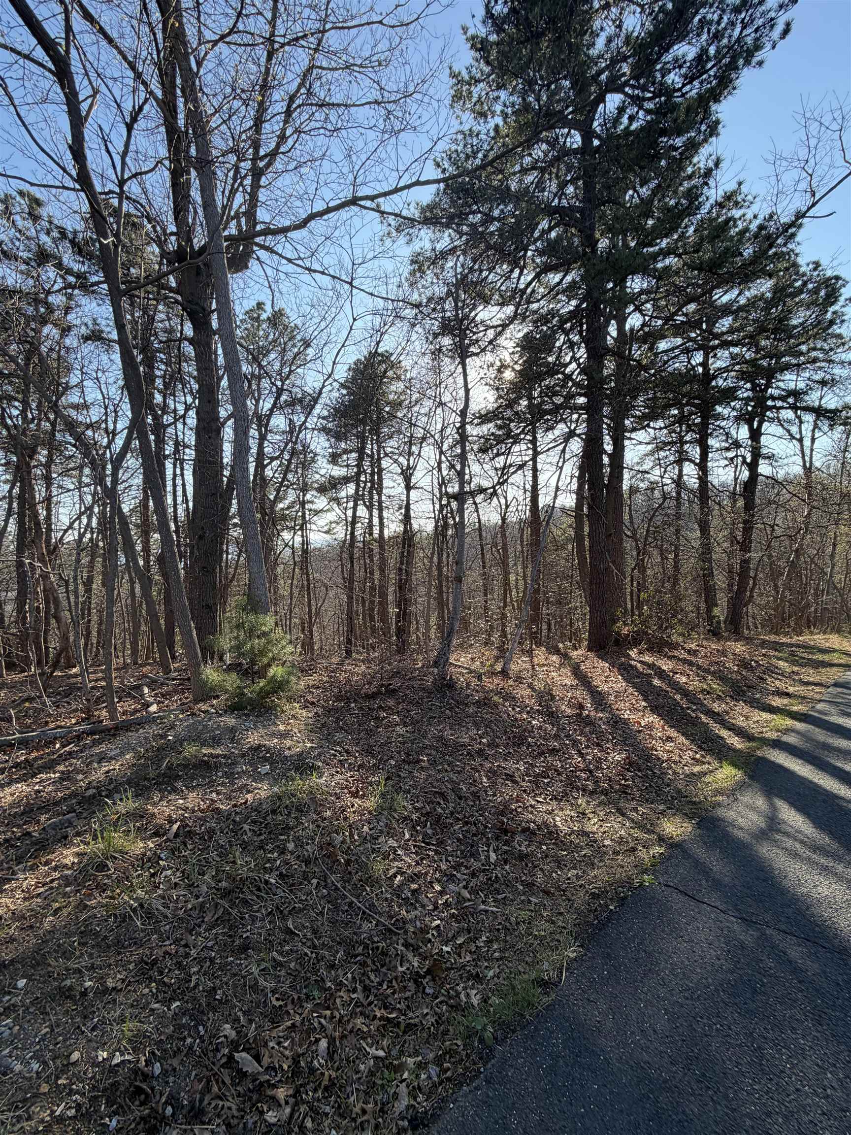 OLD STONY RIDGE RD, AFTON, Virginia 22920, ,Land,OLD STONY RIDGE RD,675655 MLS # 675655