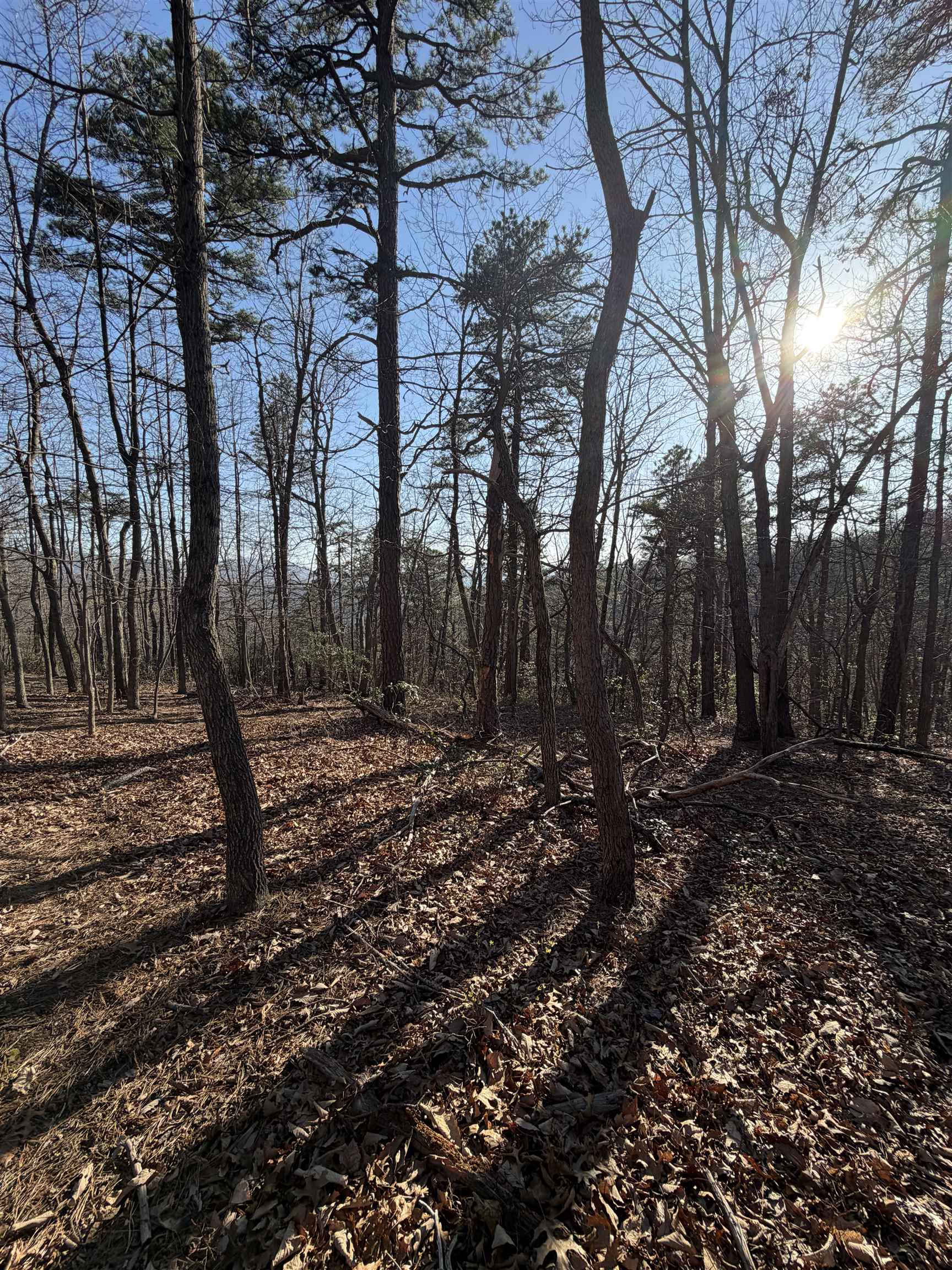 OLD STONY RIDGE RD, AFTON, Virginia 22920, ,Land,OLD STONY RIDGE RD,675655 MLS # 675655