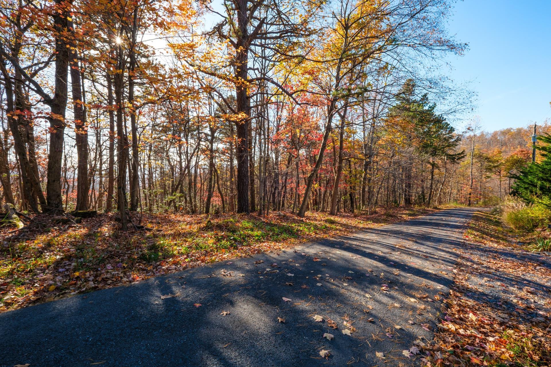 OLD STONY RIDGE RD, AFTON, Virginia 22920, ,Land,OLD STONY RIDGE RD,675655 MLS # 675655