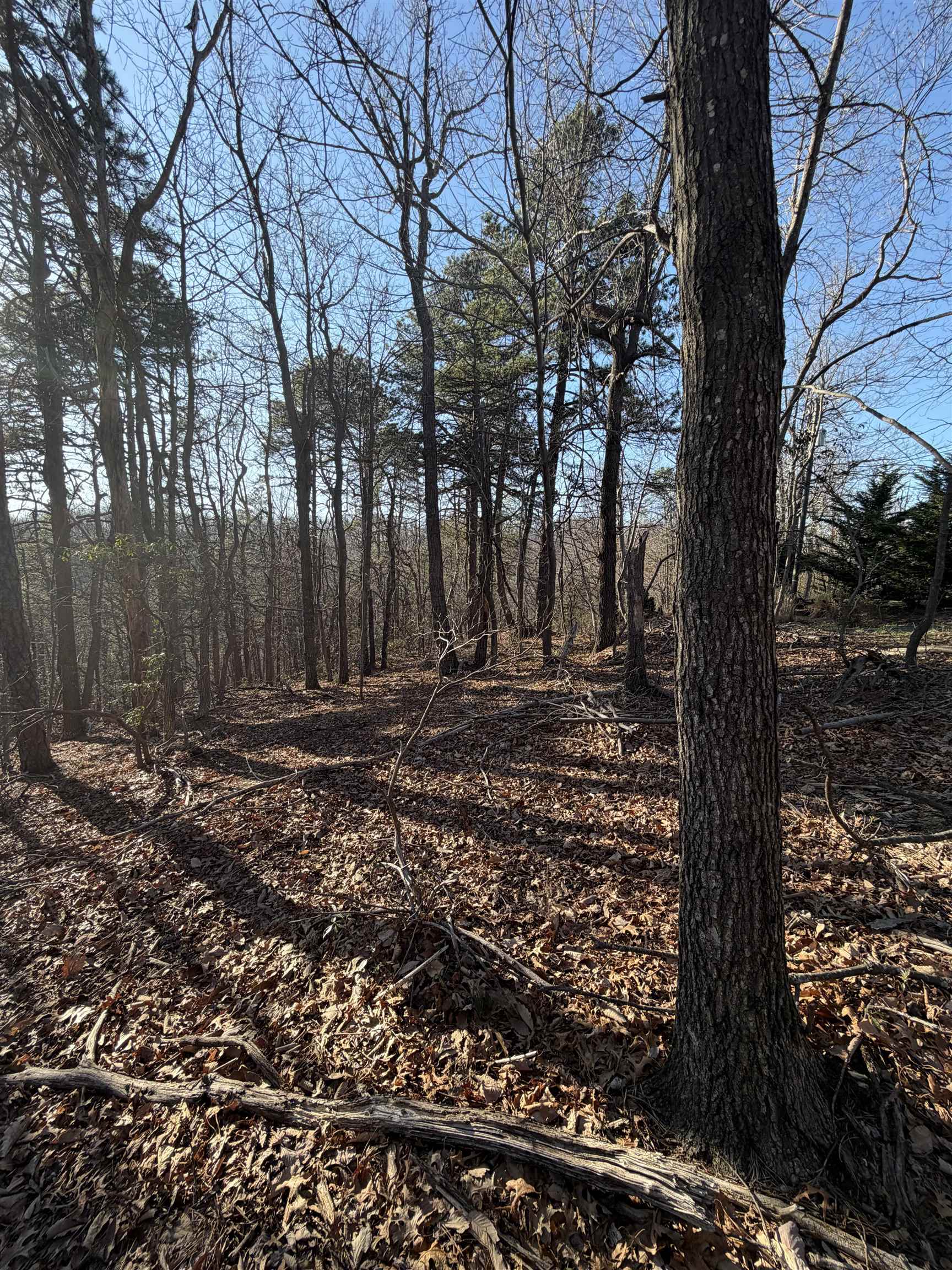 OLD STONY RIDGE RD, AFTON, Virginia 22920, ,Land,OLD STONY RIDGE RD,675655 MLS # 675655