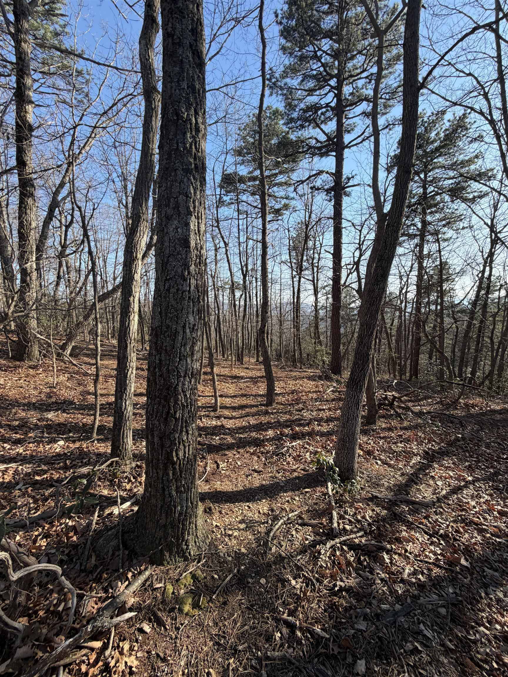 OLD STONY RIDGE RD, AFTON, Virginia 22920, ,Land,OLD STONY RIDGE RD,675655 MLS # 675655