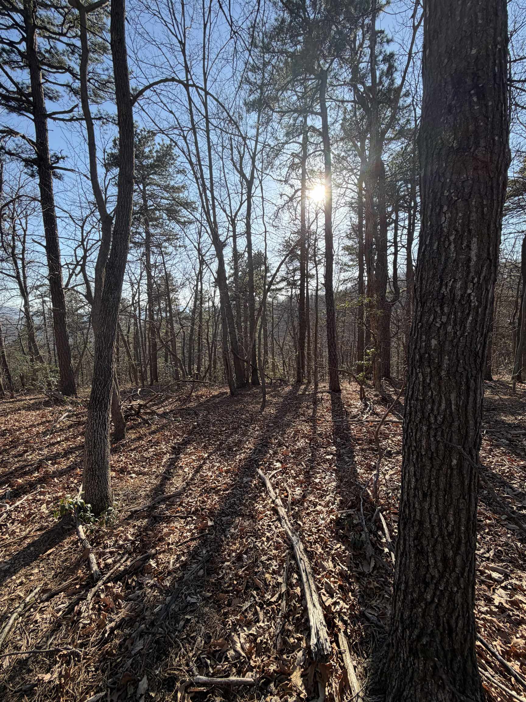 OLD STONY RIDGE RD, AFTON, Virginia 22920, ,Land,OLD STONY RIDGE RD,675655 MLS # 675655