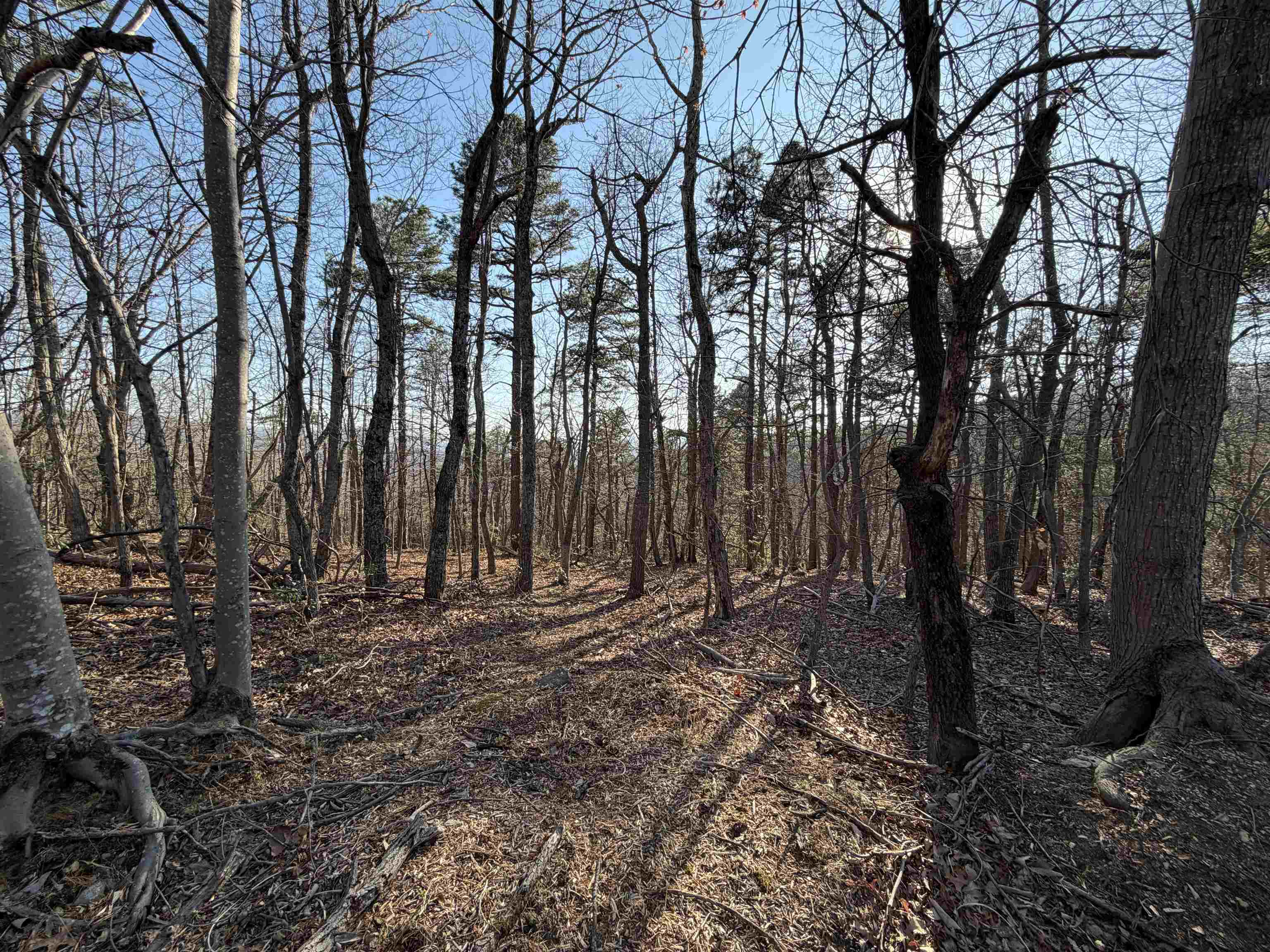 OLD STONY RIDGE RD, AFTON, Virginia 22920, ,Land,OLD STONY RIDGE RD,675655 MLS # 675655