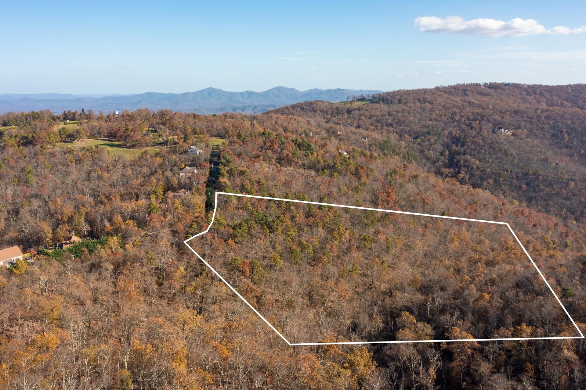 OLD STONY RIDGE RD, AFTON, Virginia 22920, ,Land,OLD STONY RIDGE RD,675655 MLS # 675655
