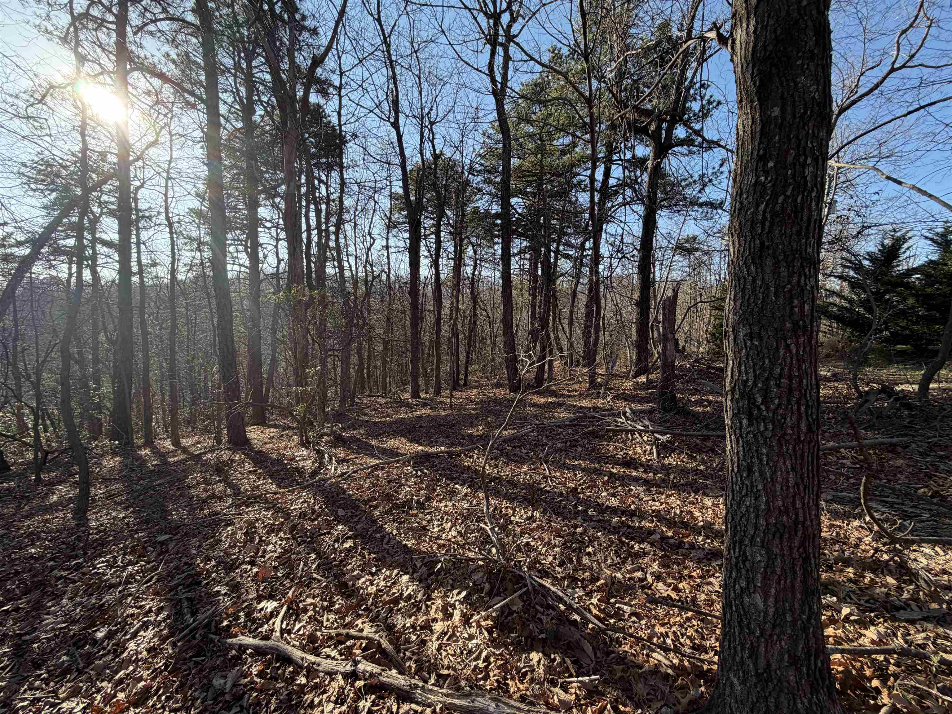 OLD STONY RIDGE RD, AFTON, Virginia 22920, ,Land,OLD STONY RIDGE RD,675655 MLS # 675655