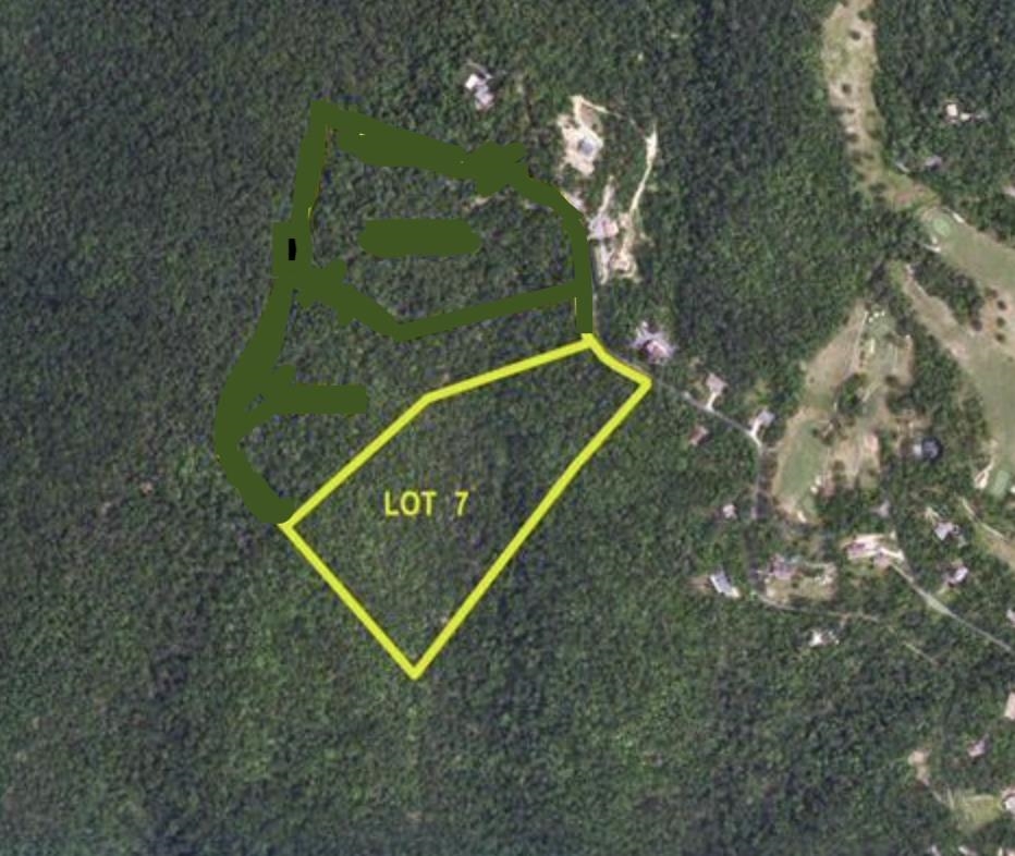 OLD STONY RIDGE RD, AFTON, Virginia 22920, ,Land,OLD STONY RIDGE RD,675655 MLS # 675655