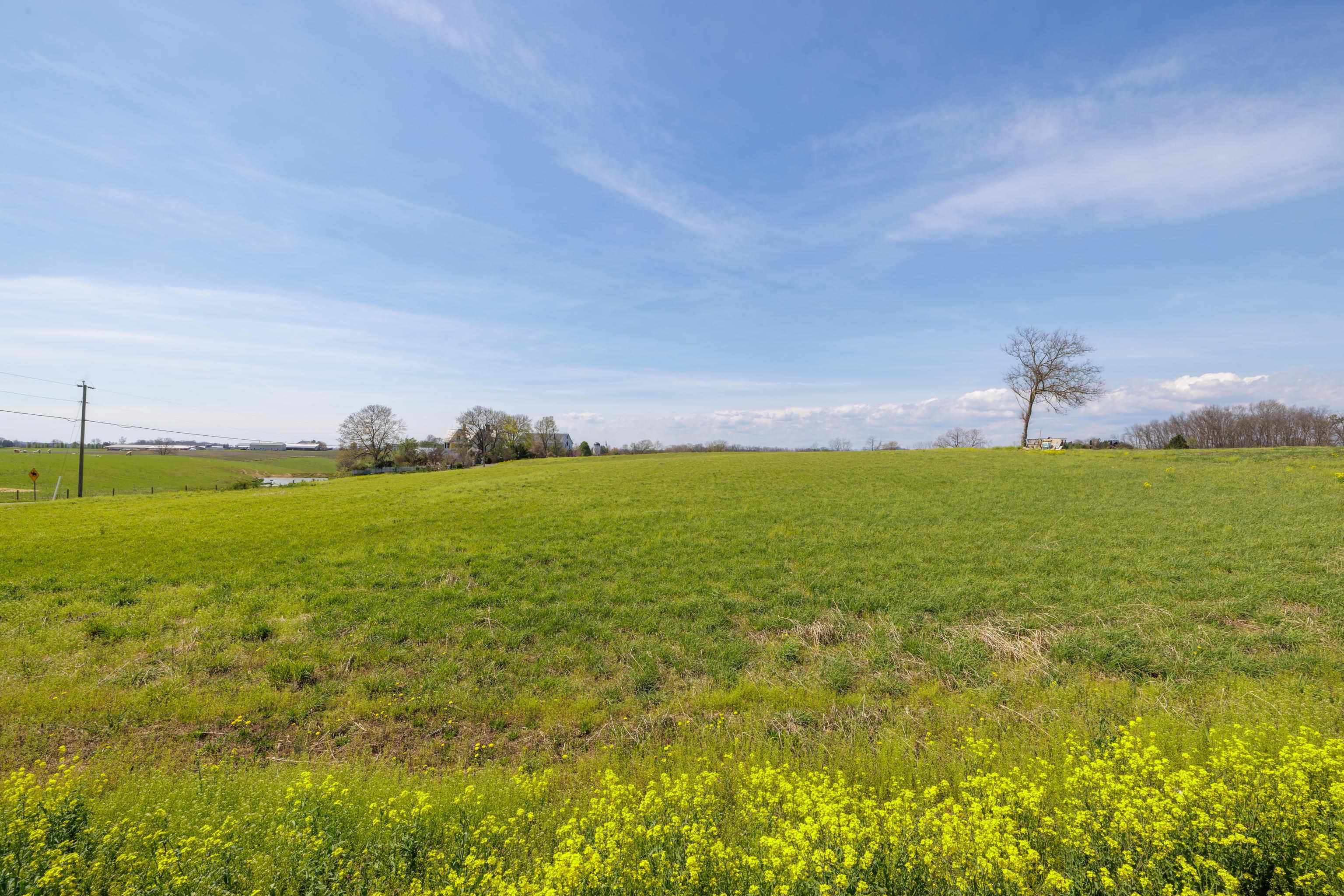 0 MILL CREEK CHURCH RD, PORT REPUBLIC, Virginia 24471, ,Land,0 MILL CREEK CHURCH RD,675669 MLS # 675669 0 MILL CREEK CHURCH RD, PORT REPUBLIC, Virginia 24471, ,Land,0 MILL CREEK CHURCH RD,675669 MLS # 675669