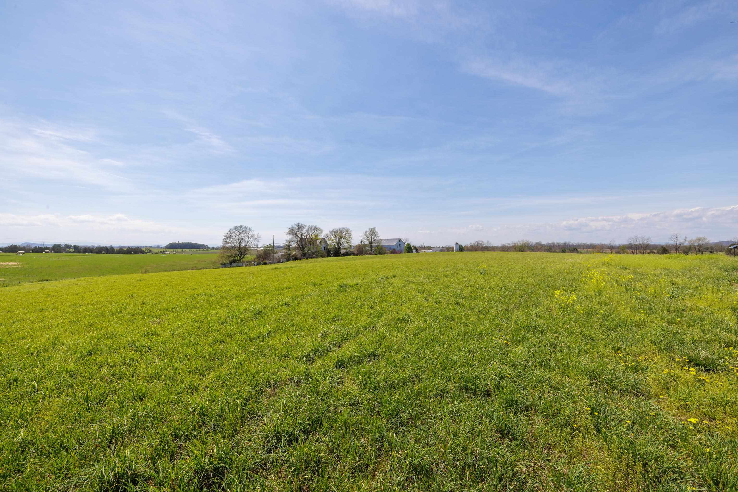 0 MILL CREEK CHURCH RD, PORT REPUBLIC, Virginia 24471, ,Land,0 MILL CREEK CHURCH RD,675669 MLS # 675669 0 MILL CREEK CHURCH RD, PORT REPUBLIC, Virginia 24471, ,Land,0 MILL CREEK CHURCH RD,675669 MLS # 675669