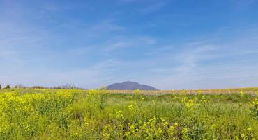 0 MILL CREEK CHURCH RD, PORT REPUBLIC, Virginia 24471, ,Land,0 MILL CREEK CHURCH RD,675669 MLS # 675669