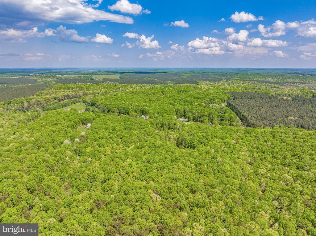 845 RACCOON RIDGE RD, SCOTTSVILLE, Virginia 24590, ,Farm,845 RACCOON RIDGE RD,VAAB2001202 MLS # VAAB2001202