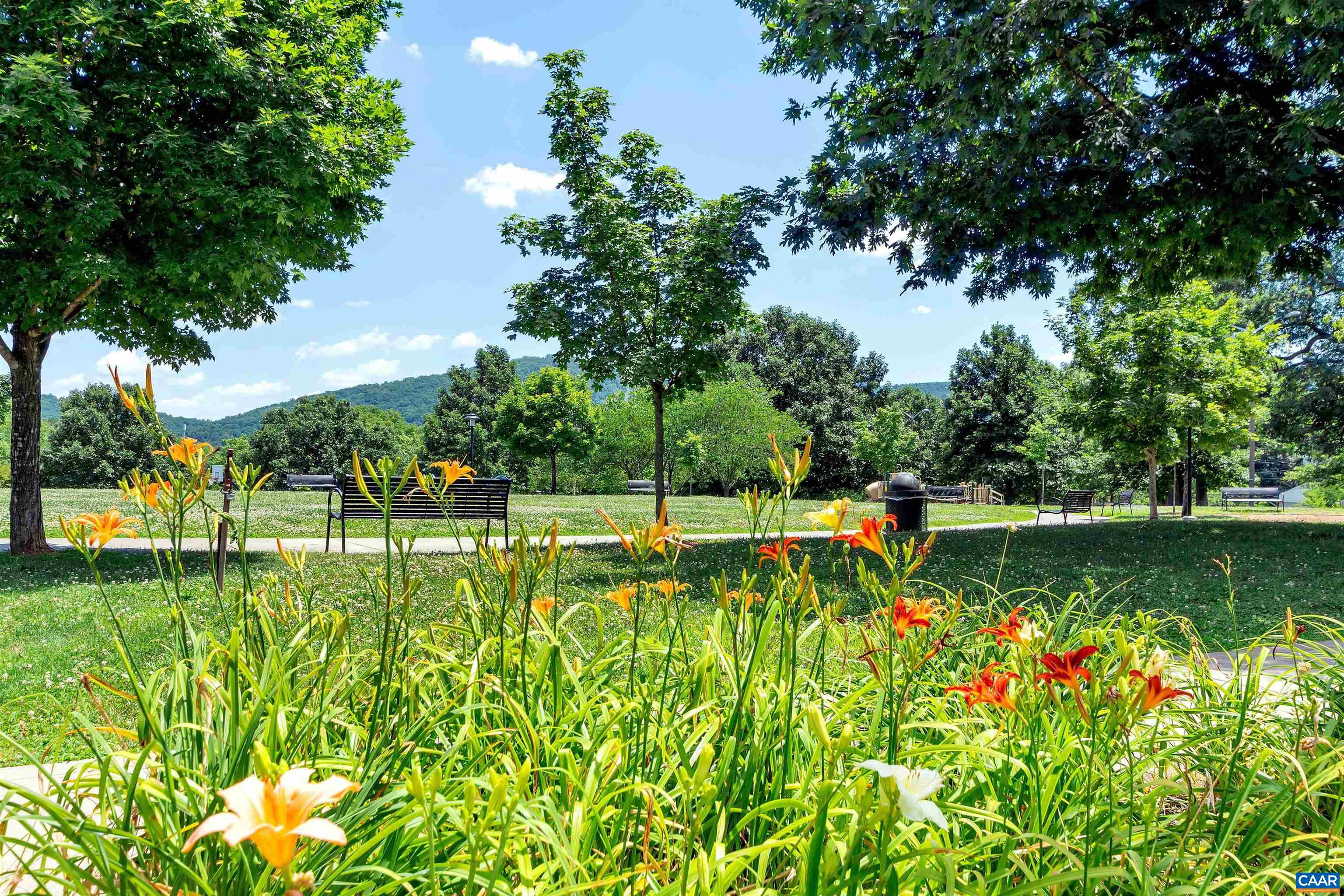 502 DRUID AVE, CHARLOTTESVILLE, Virginia 22902, 3 Bedrooms Bedrooms, ,1 BathroomBathrooms,Residential,502 DRUID AVE,675335 MLS # 675335 502 DRUID AVE, CHARLOTTESVILLE, Virginia 22902, 3 Bedrooms Bedrooms, ,1 BathroomBathrooms,Residential,502 DRUID AVE,675335 MLS # 675335