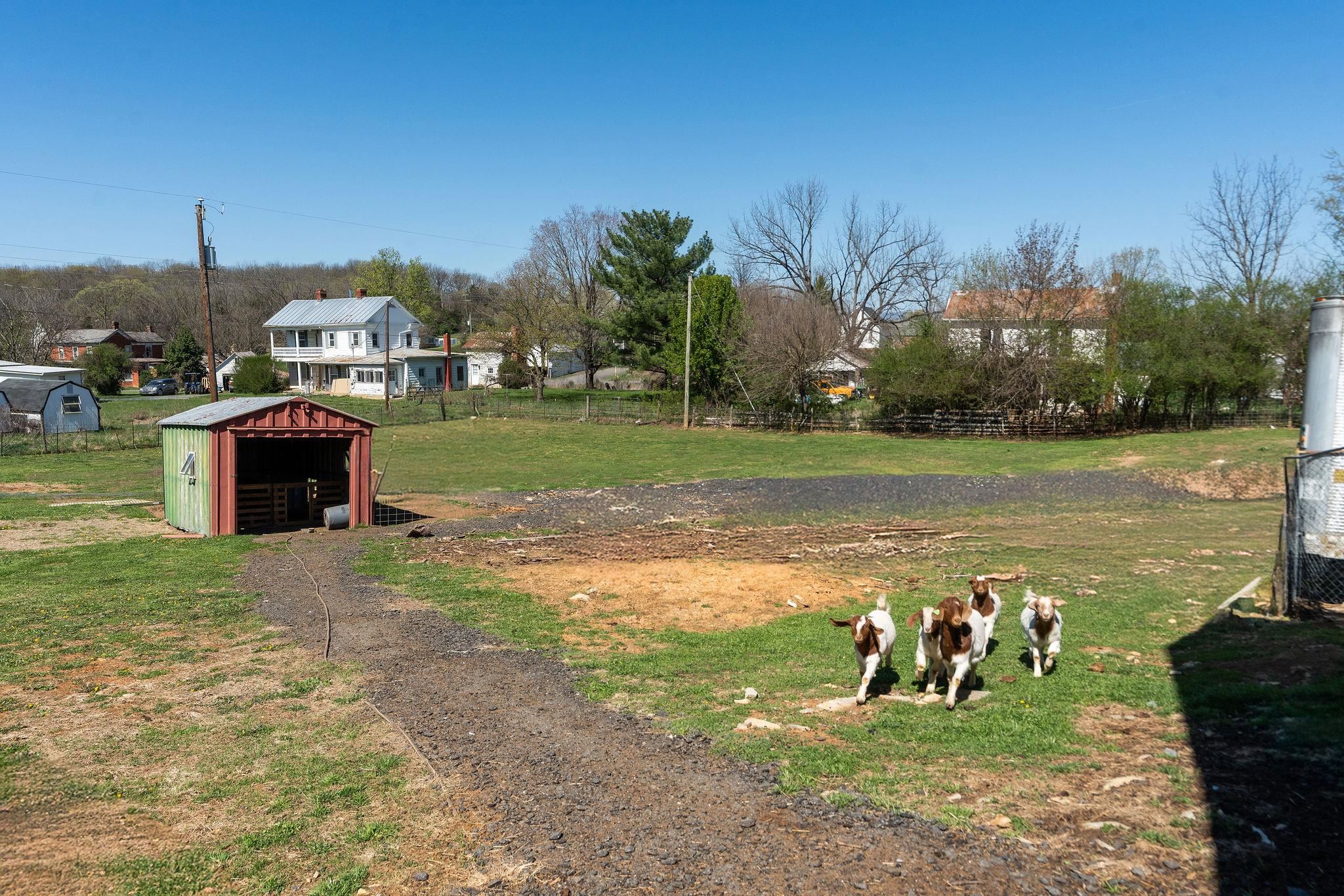 2061 CECIL WAMPLER RD, MOUNT CRAWFORD, Virginia 22841, 4 Bedrooms Bedrooms, ,2 BathroomsBathrooms,Residential,2061 CECIL WAMPLER RD,675649 MLS # 675649