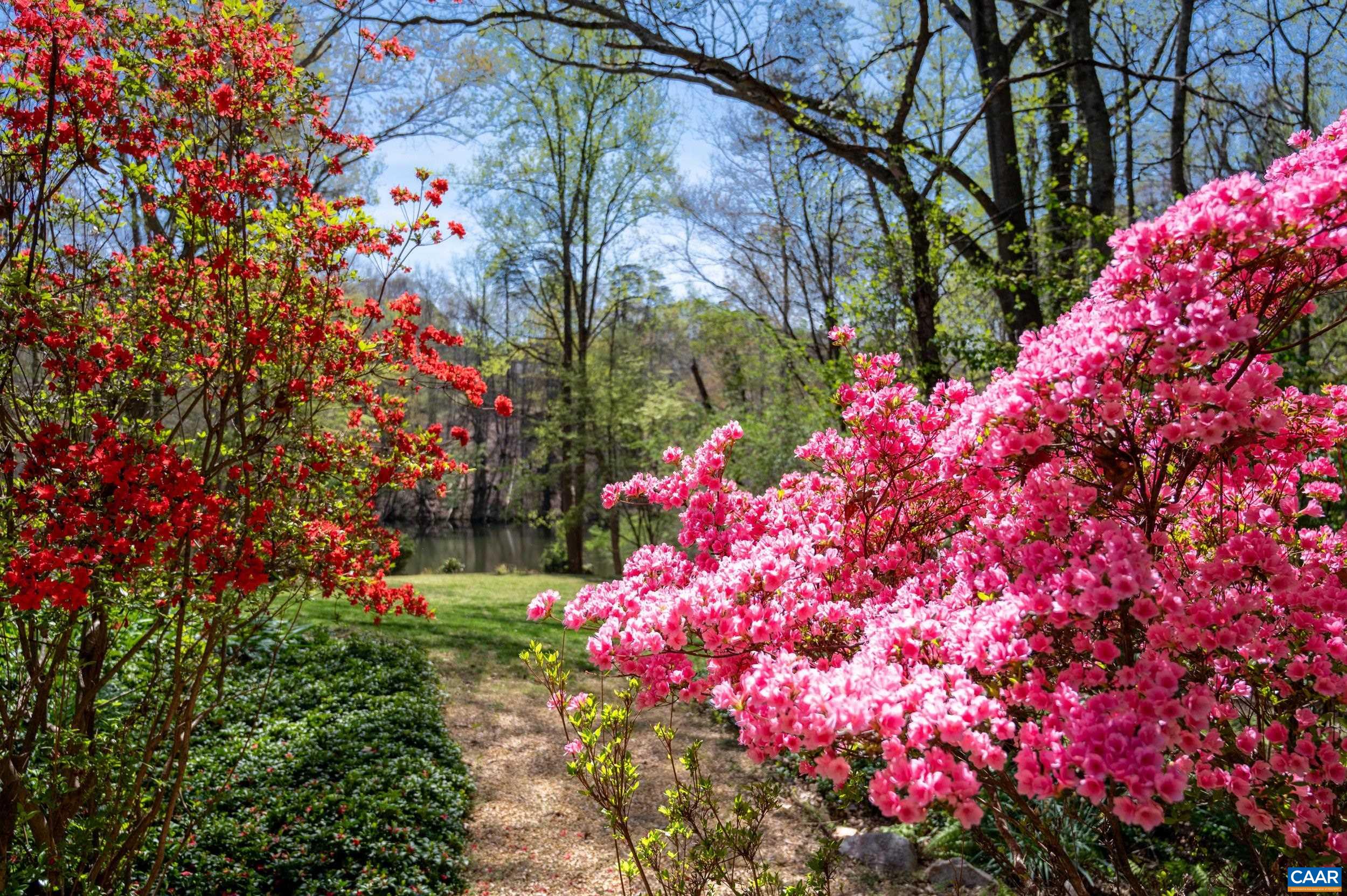 103 POWHATAN CIR, CHARLOTTESVILLE, Virginia 22901, 4 Bedrooms Bedrooms, ,3 BathroomsBathrooms,Residential,Lake Front Retreat,103 POWHATAN CIR,675651 MLS # 675651 103 POWHATAN CIR, CHARLOTTESVILLE, Virginia 22901, 4 Bedrooms Bedrooms, ,3 BathroomsBathrooms,Residential,Lake Front Retreat,103 POWHATAN CIR,675651 MLS # 675651