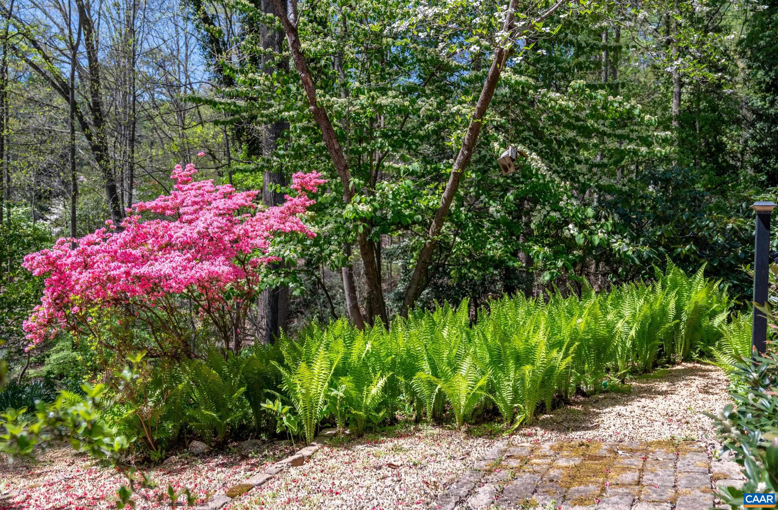 103 POWHATAN CIR, CHARLOTTESVILLE, Virginia 22901, 4 Bedrooms Bedrooms, ,3 BathroomsBathrooms,Residential,Lake Front Retreat,103 POWHATAN CIR,675651 MLS # 675651 103 POWHATAN CIR, CHARLOTTESVILLE, Virginia 22901, 4 Bedrooms Bedrooms, ,3 BathroomsBathrooms,Residential,Lake Front Retreat,103 POWHATAN CIR,675651 MLS # 675651