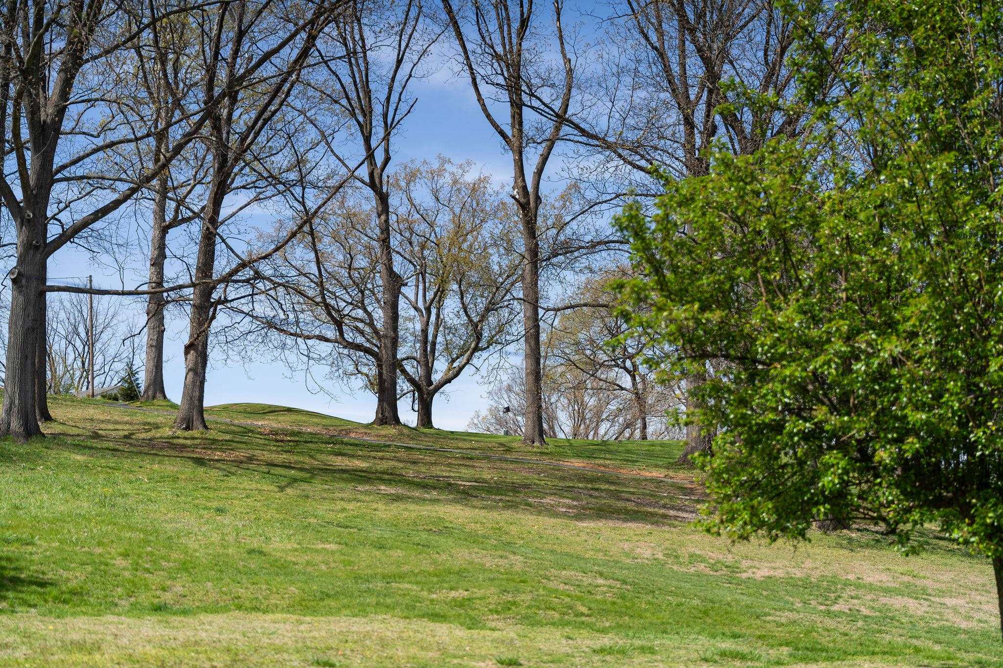 2209 THIRD ST, STAUNTON, Virginia 24401, 3 Bedrooms Bedrooms, ,1 BathroomBathrooms,Residential,2209 THIRD ST,675662 MLS # 675662