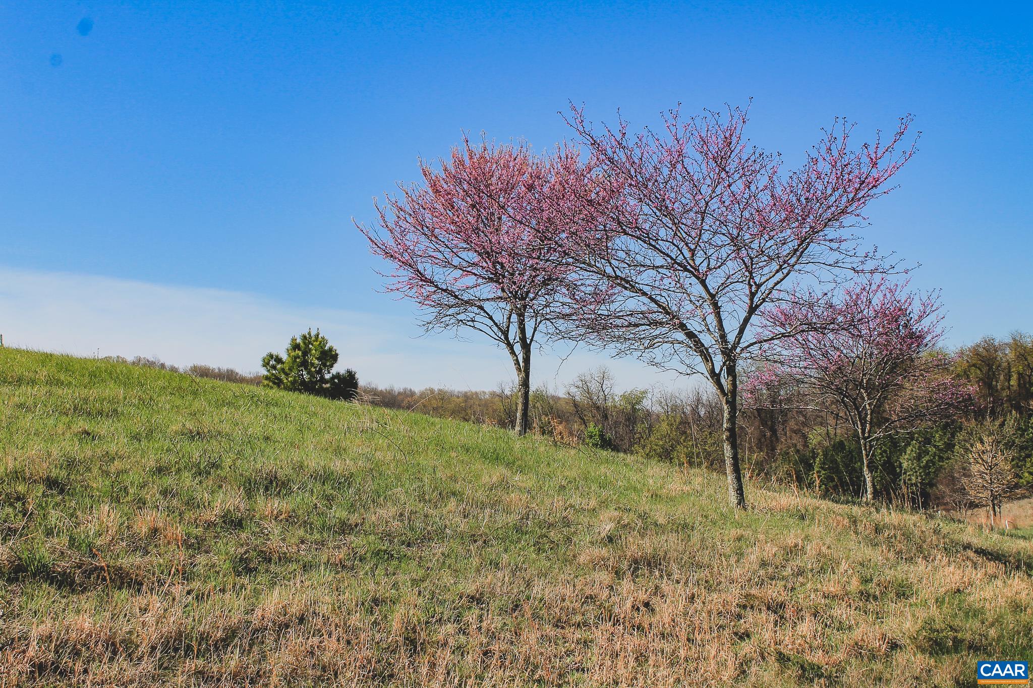 320 CARRSBROOK DR, STAUNTON, Virginia 24401, 5 Bedrooms Bedrooms, ,6 BathroomsBathrooms,Residential,Beautiful Home on Acreage in Staunton,320 CARRSBROOK DR,675671 MLS # 675671