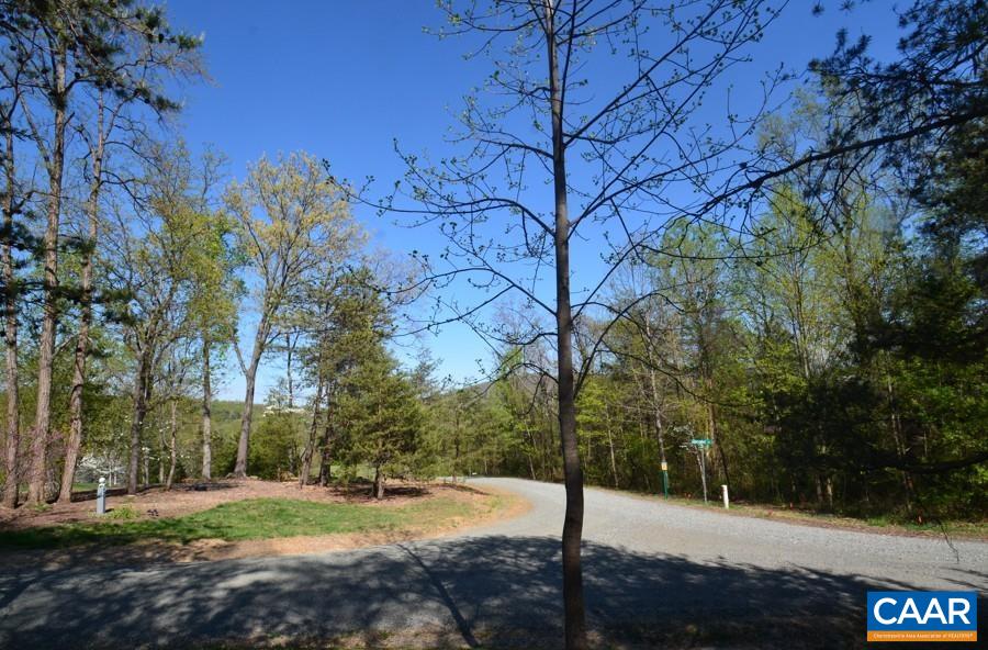 Lot D1 HIDEAWAY TRL, STANARDSVILLE, Virginia 22973, ,Land,Lot D1 HIDEAWAY TRL,675680 MLS # 675680 Lot D1 HIDEAWAY TRL, STANARDSVILLE, Virginia 22973, ,Land,Lot D1 HIDEAWAY TRL,675680 MLS # 675680