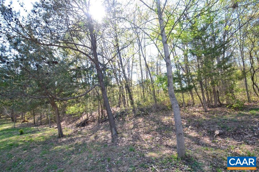 Lot D1 HIDEAWAY TRL, STANARDSVILLE, Virginia 22973, ,Land,Lot D1 HIDEAWAY TRL,675680 MLS # 675680 Lot D1 HIDEAWAY TRL, STANARDSVILLE, Virginia 22973, ,Land,Lot D1 HIDEAWAY TRL,675680 MLS # 675680