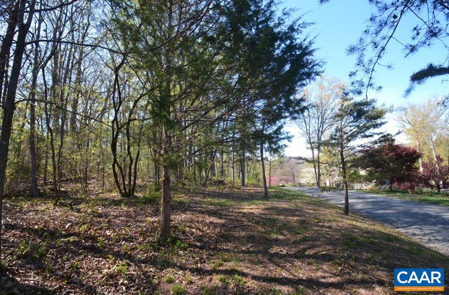 Lot D1 HIDEAWAY TRL, STANARDSVILLE, Virginia 22973, ,Land,Lot D1 HIDEAWAY TRL,675680 MLS # 675680 Lot D1 HIDEAWAY TRL, STANARDSVILLE, Virginia 22973, ,Land,Lot D1 HIDEAWAY TRL,675680 MLS # 675680