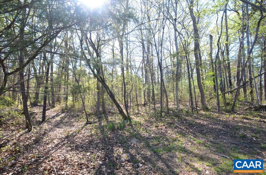 Lot D1 HIDEAWAY TRL, STANARDSVILLE, Virginia 22973, ,Land,Lot D1 HIDEAWAY TRL,675680 MLS # 675680 Lot D1 HIDEAWAY TRL, STANARDSVILLE, Virginia 22973, ,Land,Lot D1 HIDEAWAY TRL,675680 MLS # 675680