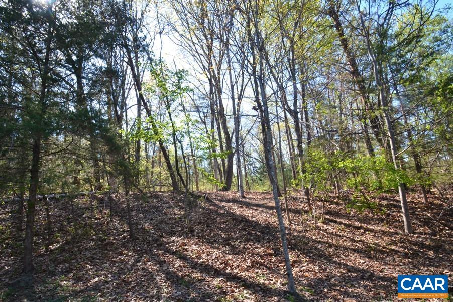 Lot D1 HIDEAWAY TRL, STANARDSVILLE, Virginia 22973, ,Land,Lot D1 HIDEAWAY TRL,675680 MLS # 675680 Lot D1 HIDEAWAY TRL, STANARDSVILLE, Virginia 22973, ,Land,Lot D1 HIDEAWAY TRL,675680 MLS # 675680