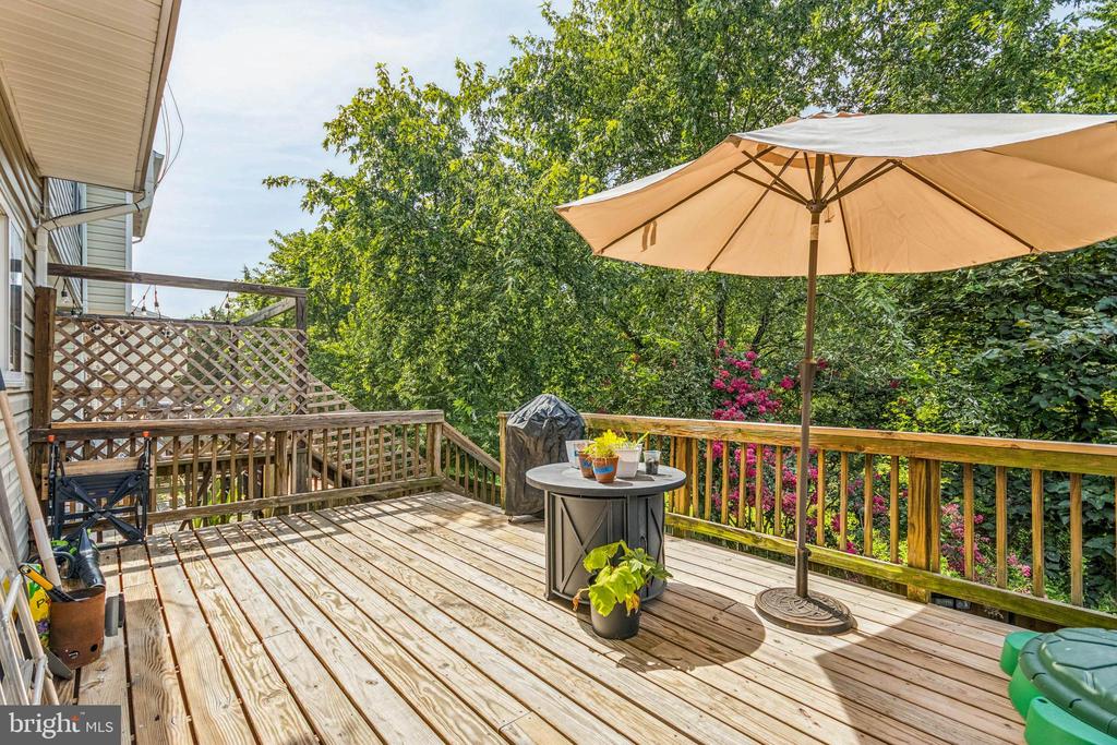 371 SNYDER LN, CULPEPER, Virginia 22701, 3 Bedrooms Bedrooms, ,3 BathroomsBathrooms,Residential,371 SNYDER LN,VACU2013154 MLS # VACU2013154