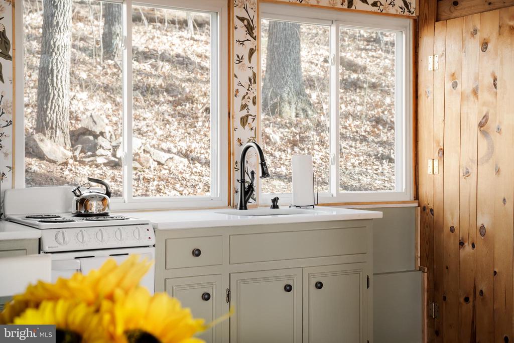 698 VALLEY VIEW RD, RILEYVILLE, Virginia 22650, 1 Bedroom Bedrooms, ,1 BathroomBathrooms,Residential,698 VALLEY VIEW RD,VAPA2006174 MLS # VAPA2006174