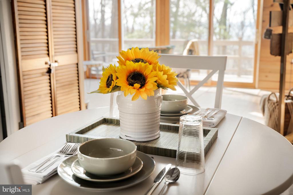 698 VALLEY VIEW RD, RILEYVILLE, Virginia 22650, 1 Bedroom Bedrooms, ,1 BathroomBathrooms,Residential,698 VALLEY VIEW RD,VAPA2006174 MLS # VAPA2006174