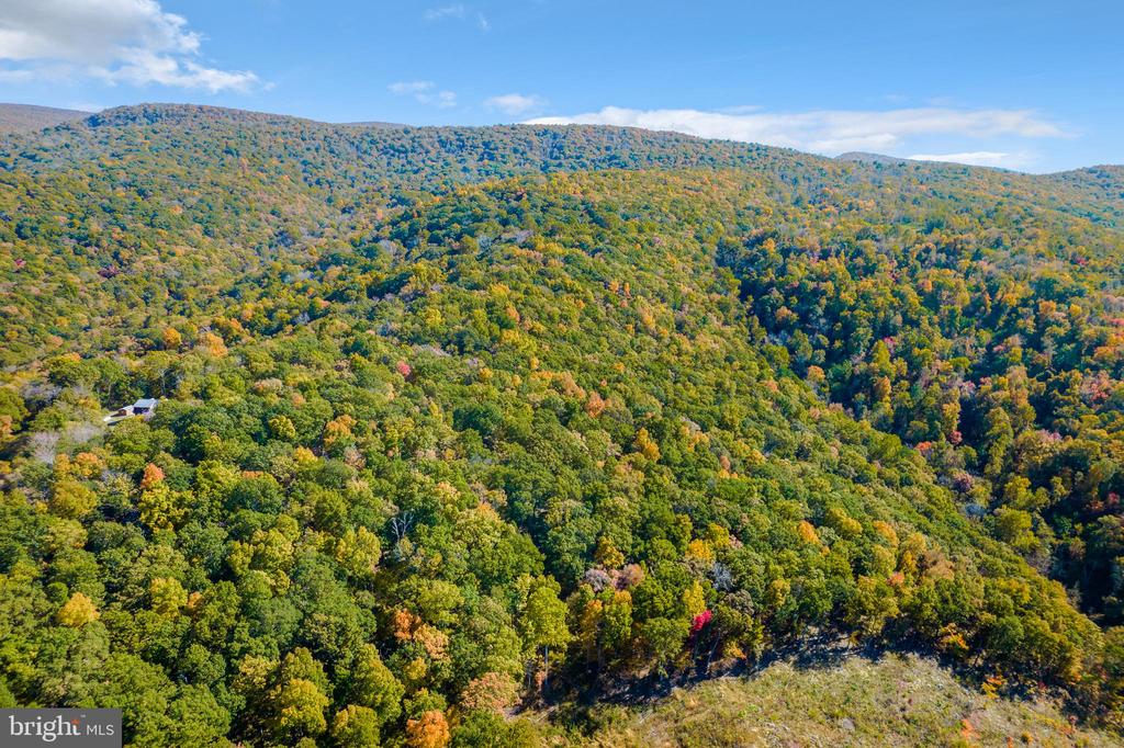 698 VALLEY VIEW RD, RILEYVILLE, Virginia 22650, 1 Bedroom Bedrooms, ,1 BathroomBathrooms,Residential,698 VALLEY VIEW RD,VAPA2006174 MLS # VAPA2006174