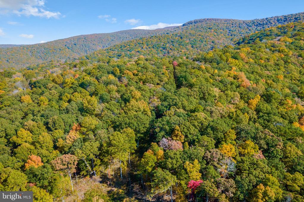 698 VALLEY VIEW RD, RILEYVILLE, Virginia 22650, 1 Bedroom Bedrooms, ,1 BathroomBathrooms,Residential,698 VALLEY VIEW RD,VAPA2006174 MLS # VAPA2006174