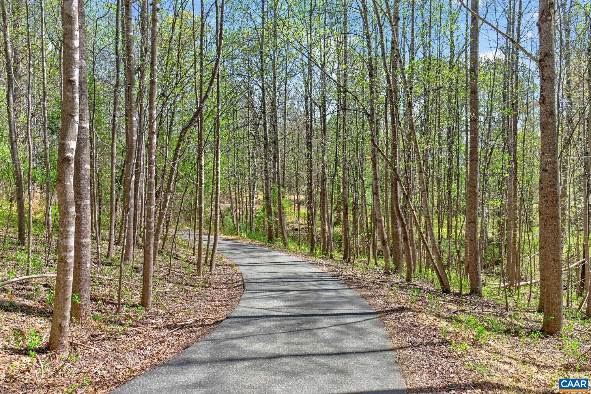 7087 DICK WOODS RD, AFTON, Virginia 22920, 5 Bedrooms Bedrooms, ,4 BathroomsBathrooms,Residential,7087 DICK WOODS RD,675673 MLS # 675673