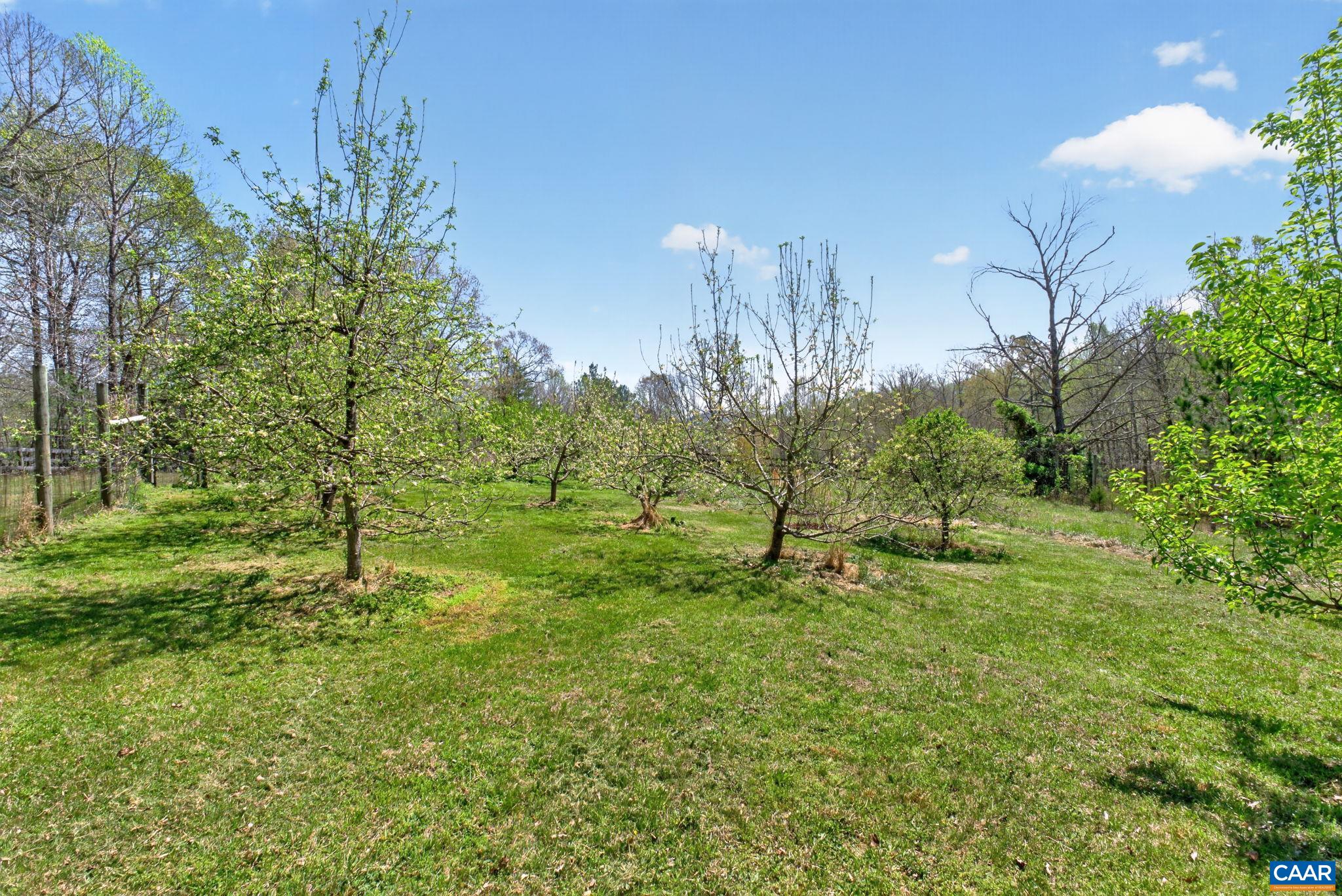 7087 DICK WOODS RD, AFTON, Virginia 22920, 5 Bedrooms Bedrooms, ,4 BathroomsBathrooms,Residential,7087 DICK WOODS RD,675673 MLS # 675673