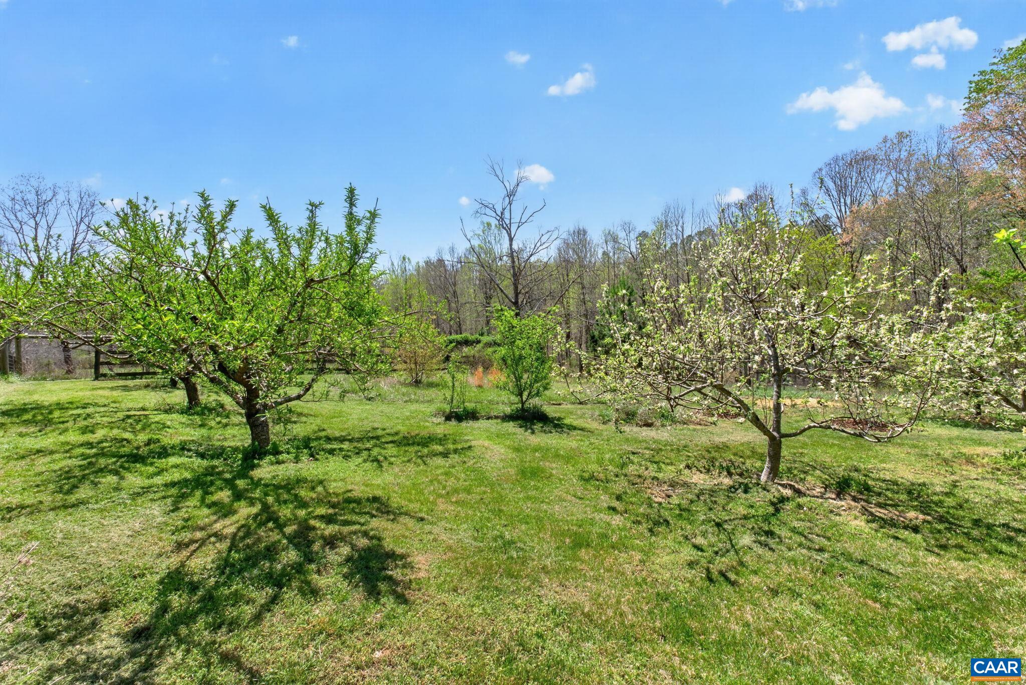 7087 DICK WOODS RD, AFTON, Virginia 22920, 5 Bedrooms Bedrooms, ,4 BathroomsBathrooms,Residential,7087 DICK WOODS RD,675673 MLS # 675673