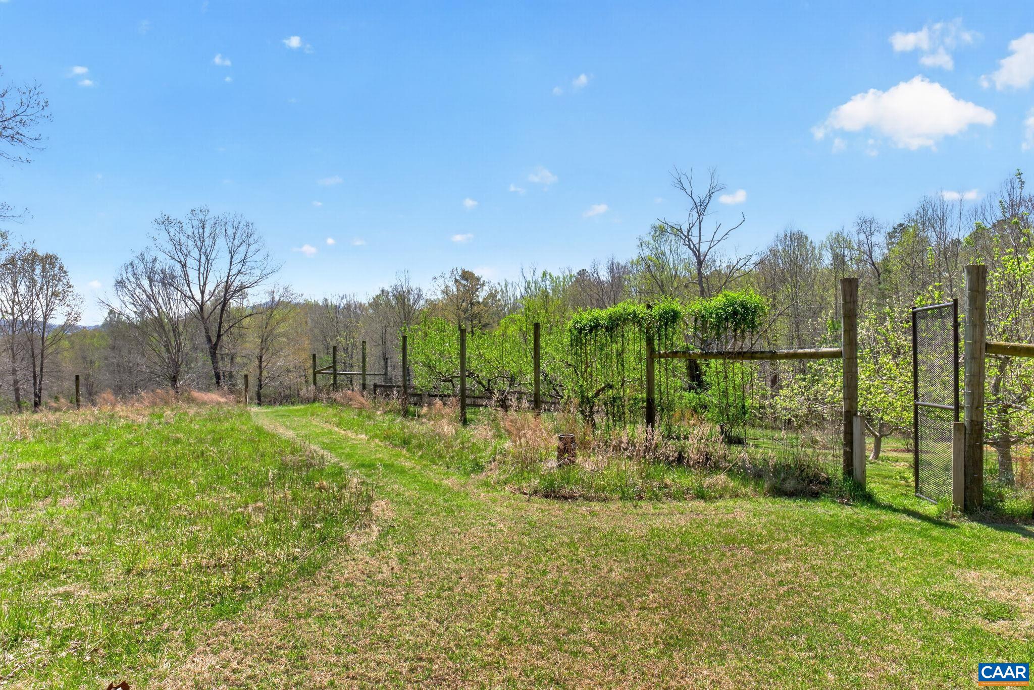 7087 DICK WOODS RD, AFTON, Virginia 22920, 5 Bedrooms Bedrooms, ,4 BathroomsBathrooms,Residential,7087 DICK WOODS RD,675673 MLS # 675673