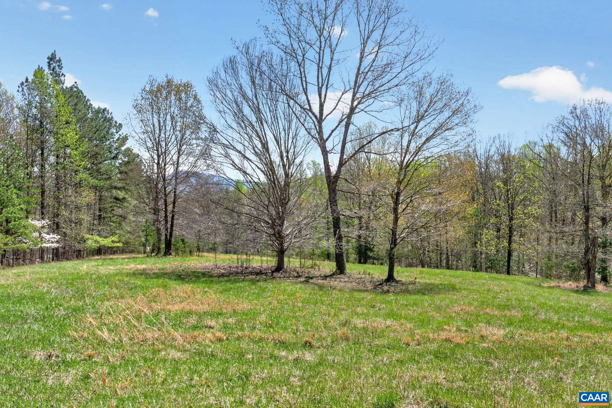 7087 DICK WOODS RD, AFTON, Virginia 22920, 5 Bedrooms Bedrooms, ,4 BathroomsBathrooms,Residential,7087 DICK WOODS RD,675673 MLS # 675673