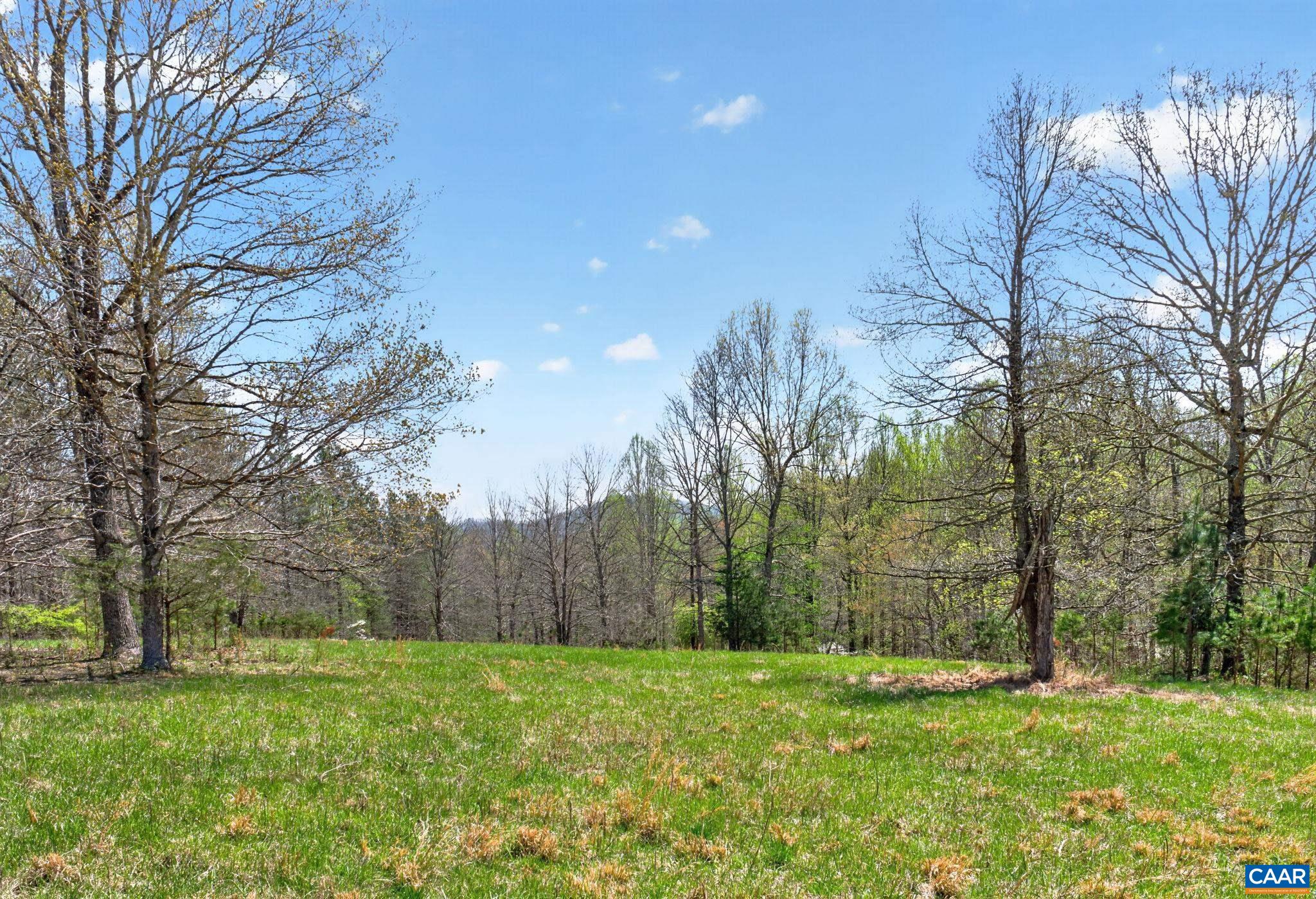 7087 DICK WOODS RD, AFTON, Virginia 22920, 5 Bedrooms Bedrooms, ,4 BathroomsBathrooms,Residential,7087 DICK WOODS RD,675673 MLS # 675673