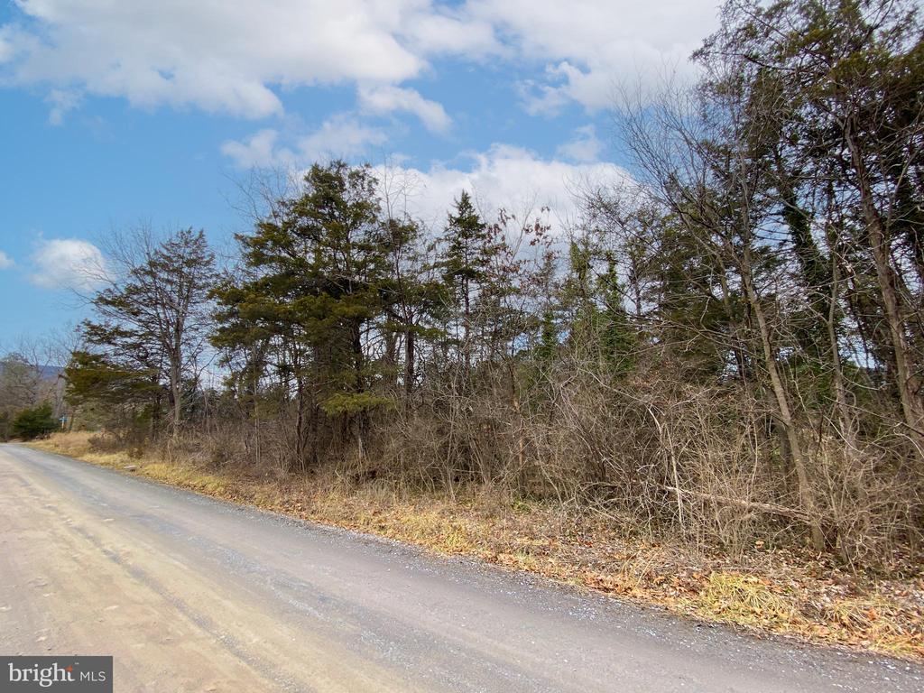PARK VIEW DR, LURAY, Virginia 22835, ,Land,PARK VIEW DR,VAPA2004378 MLS # VAPA2004378