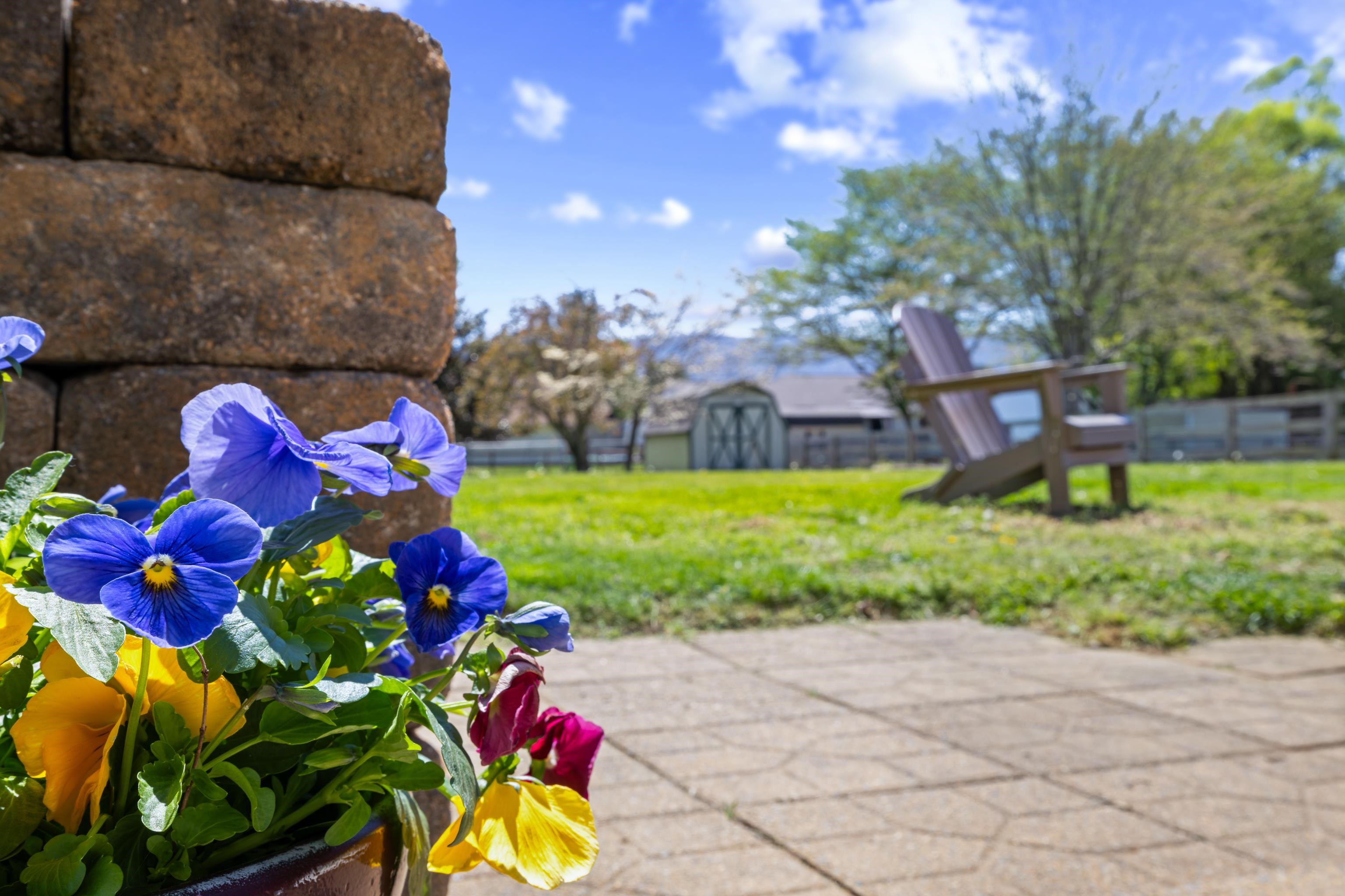 45 LEDYARD CT, STUARTS DRAFT, Virginia 24477, 5 Bedrooms Bedrooms, ,2 BathroomsBathrooms,Residential,45 LEDYARD CT,675686 MLS # 675686