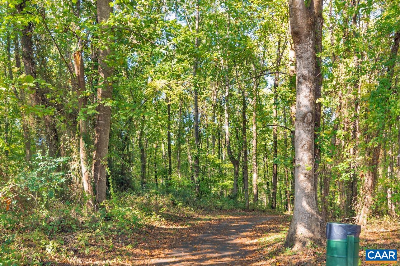 110 TURTLE CREEK RD, CHARLOTTESVILLE, Virginia 22901, 2 Bedrooms Bedrooms, ,2 BathroomsBathrooms,Residential,110 TURTLE CREEK RD,675537 MLS # 675537